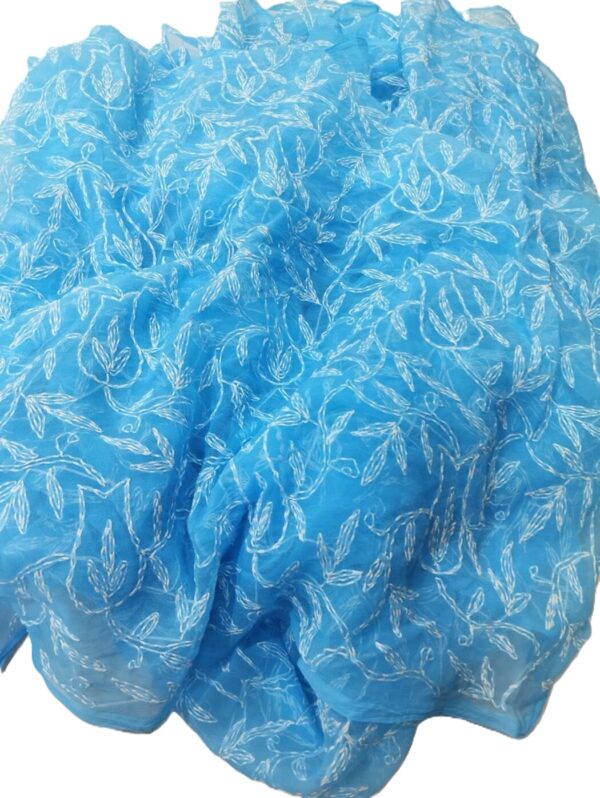 SkyBlue Tepchi Chikankari Saree