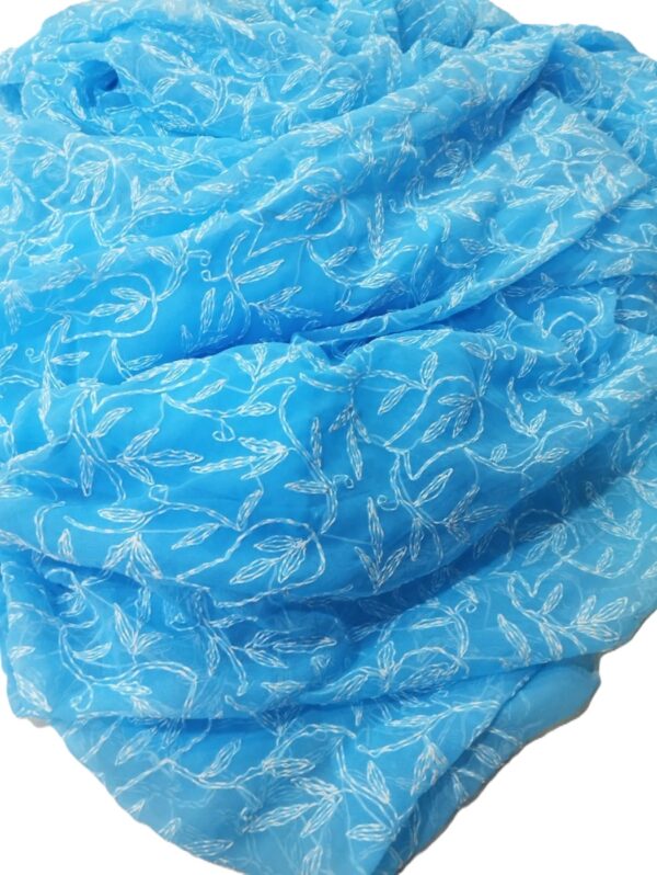 SkyBlue Tepchi Chikankari Saree