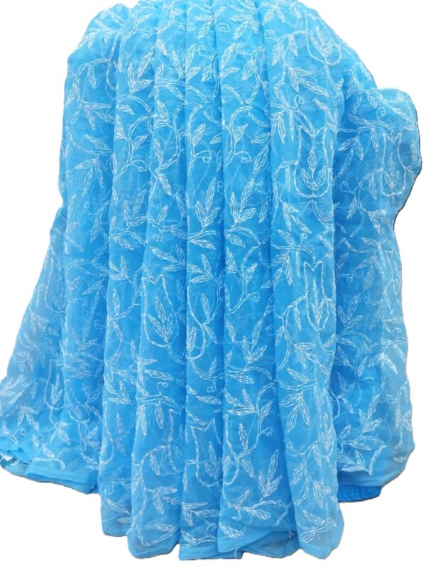 SkyBlue Tepchi Chikankari Saree