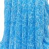 SkyBlue Tepchi Chikankari Saree