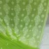 Green Chikankari Saree