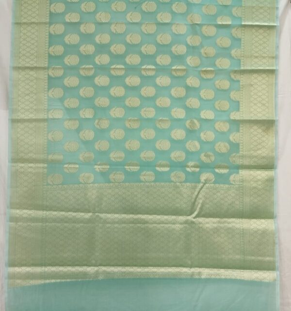 Aqua Green Handloom Banarasi Tissue Saree