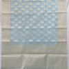Aqua Blue Handloom Banarasi Tissue Saree