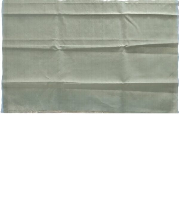 Aqua Blue Handloom Banarasi Tissue Saree