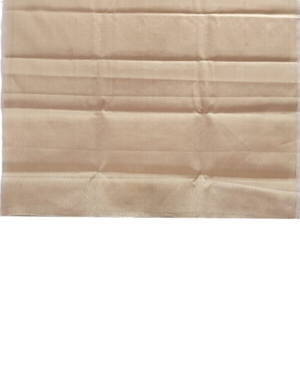 Aqua Pink Handloom Banarasi Tissue Saree