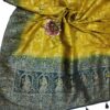 Henna Green Handloom Banarasi Silk Saree