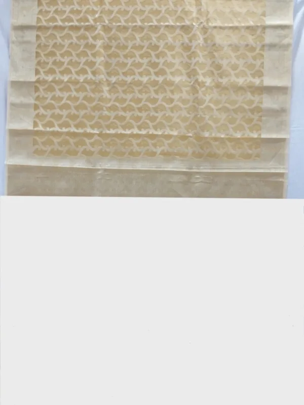 BS001875-1(1) Yellow Handloom Organza Saree