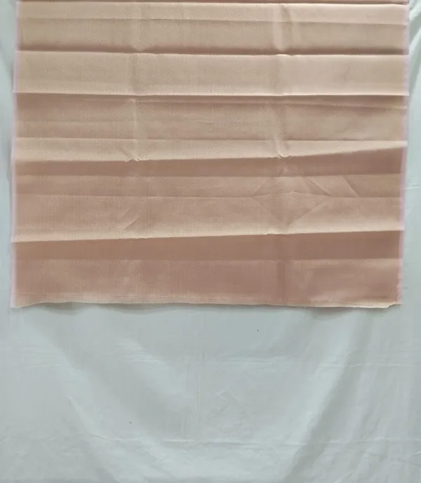 Handloom Organza Saree from Bunkar Sarees