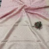 Handloom Organza Saree from Bunkar Sarees