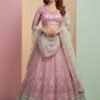 Pastel Pink Lehenga