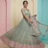 Pastel Green Lehenga